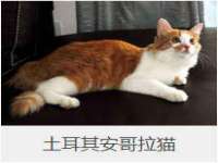 太原旭辉建材有限公司