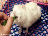 太原旭辉建材有限公司